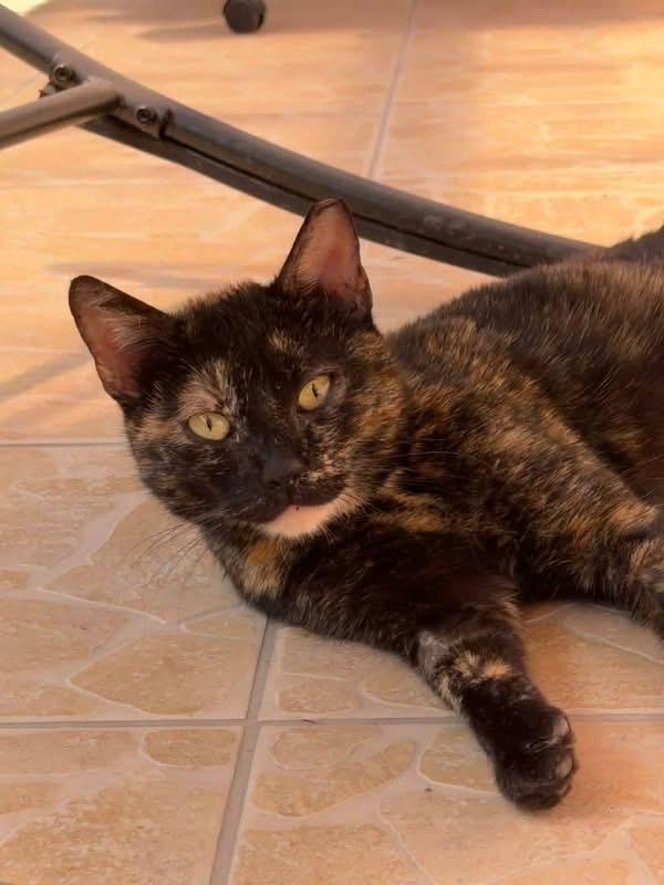 Zoey