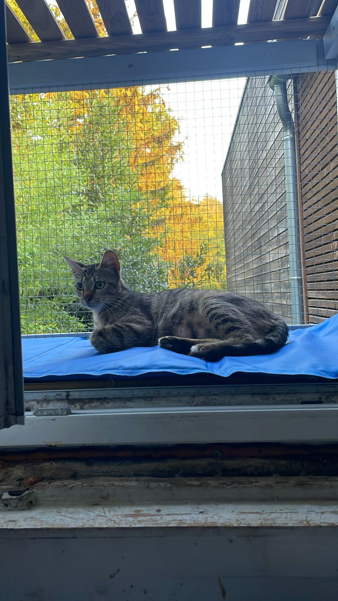 LUNA