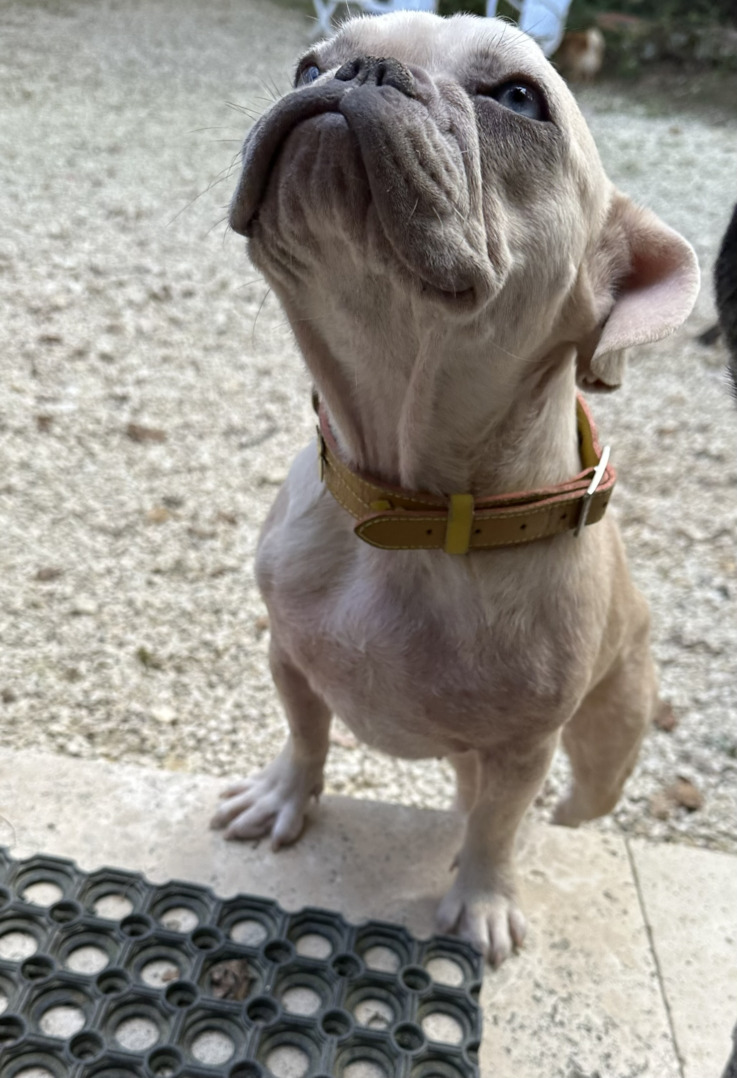 Neytiri
