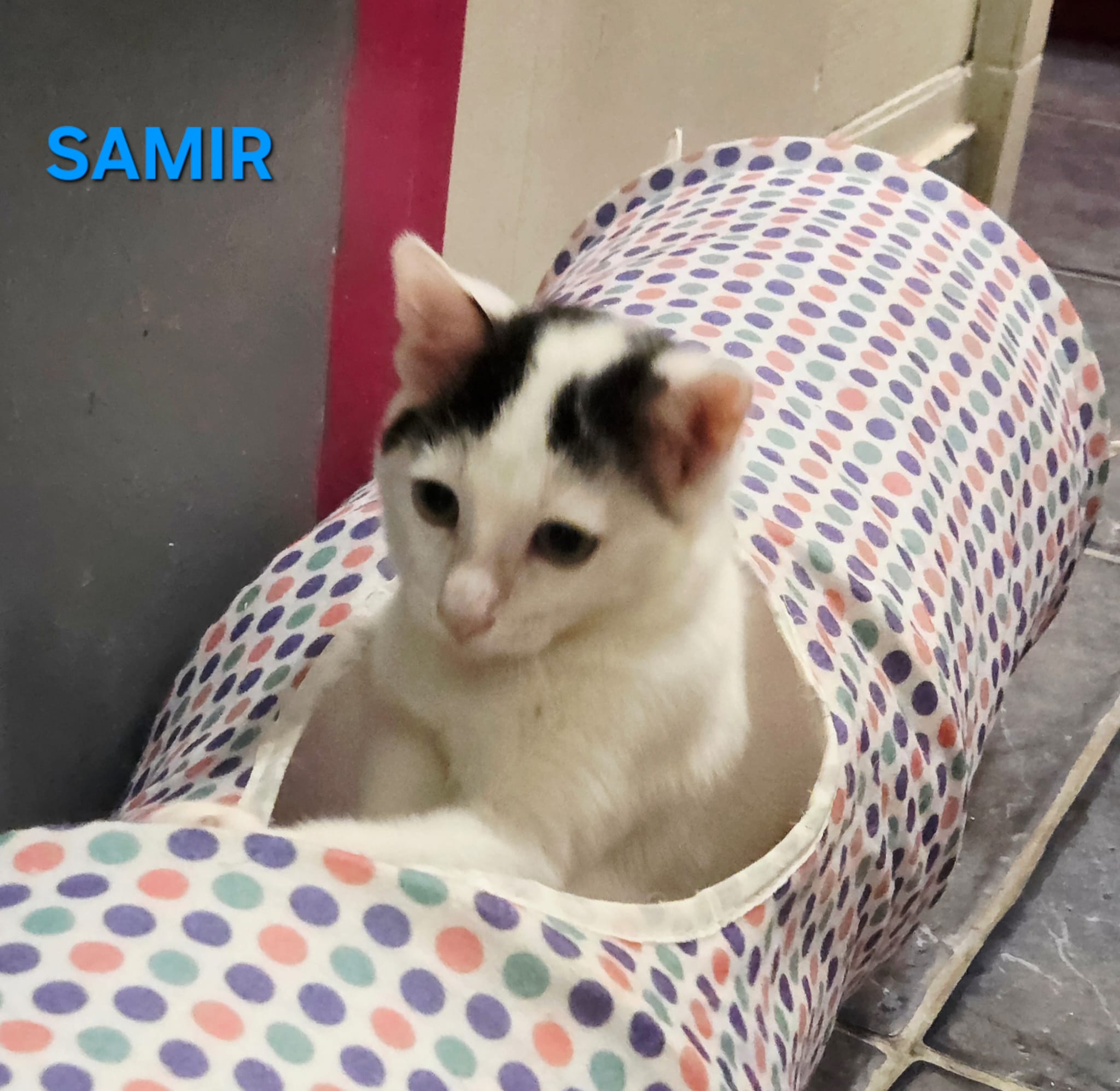 SAMIR